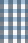 A Mistletoe : Blue Tartan Pattern