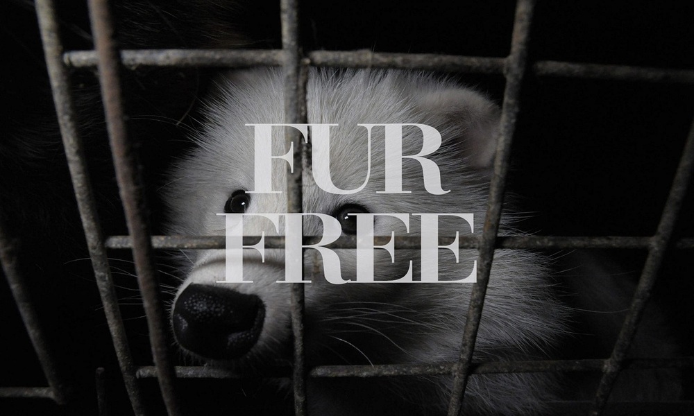 Fur Free Generation