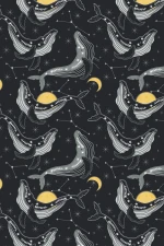 Cetus Star : Midnight Sky