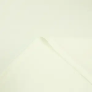 Clearance Sale In-stock Ready-to-ship Fleece Throw Cream Color 40x60 Inches