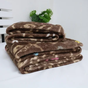 Eazzie Brownie Printed Plush Blanket (Brown)