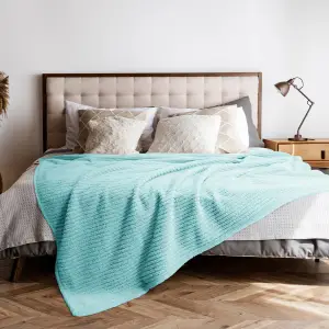 Fino Plush Blanket | Bold Striped Textured | Mint Green