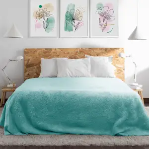 Fino Plush Blanket | Mint Green