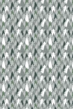 Forest Travel : Pine Forest