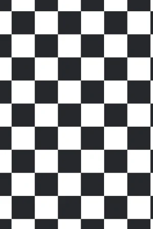 Midnight Forest : Black White Check Pattern