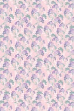 Ombre Viola : Pink