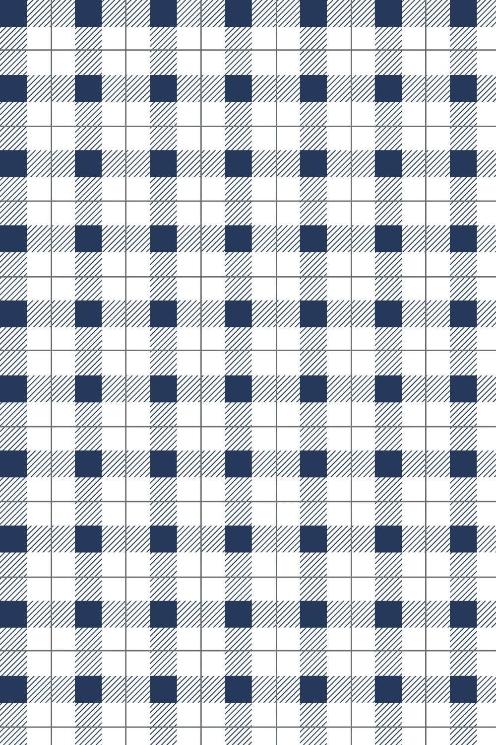 Picnic Time : Navy Gingham Pattern