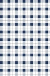 Picnic Time : Navy Gingham Pattern