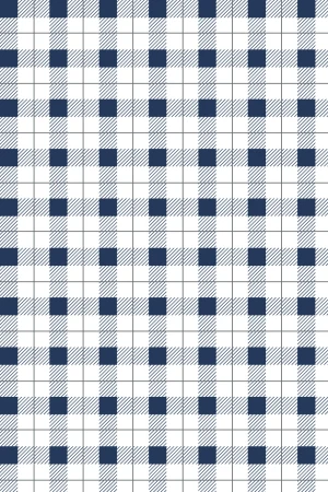 Picnic Time : Navy Gingham Pattern