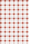 Picnic Time : Red Gingham Pattern