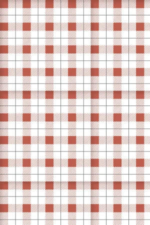 Picnic Time : Red Gingham Pattern