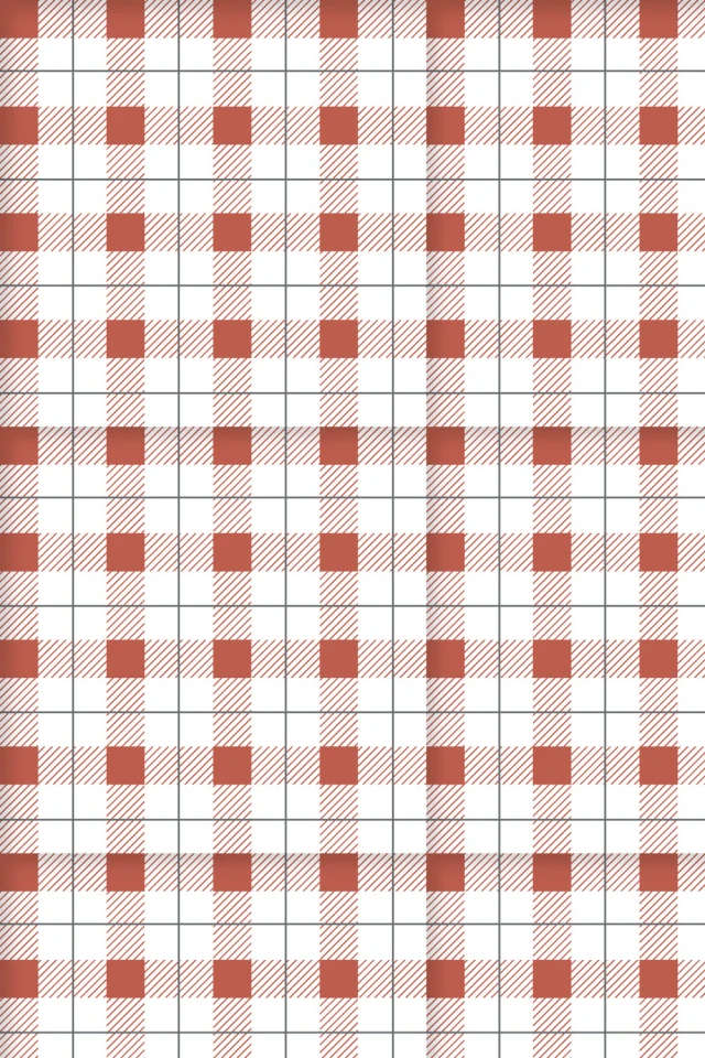 Picnic Time : Red Gingham Pattern