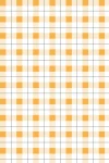 Picnic Time : Yellow Gingham Pattern