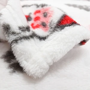 Santa Claus Printed Plush Blanket