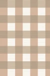 Wild in Winter : Brown Tartan Pattern