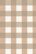 Wild in Winter : Brown Tartan Pattern